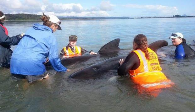 �������ٴη����캽�������ǳ�¼� 36ͷ��21ͷ���