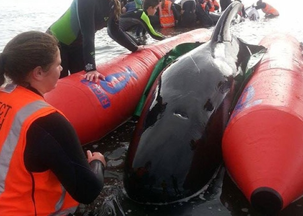 ���־����������