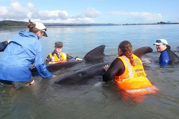 �캽����һ��������ˮ��