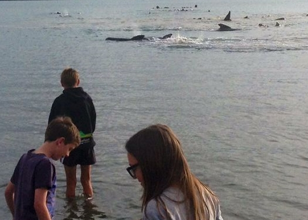 ���ٶ�ͯ�����ۿ�����