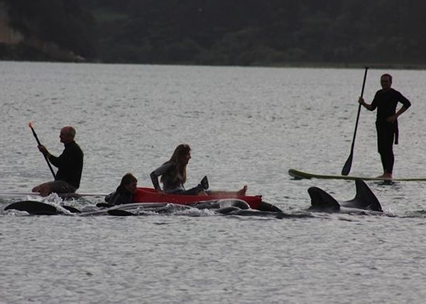 ������Ԯ��ԱŬ�����ȣ����־��������ں��ϸ���