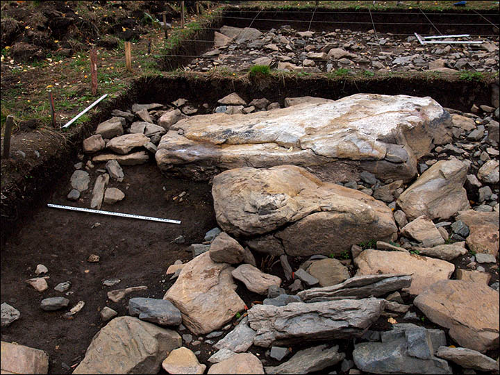 这处地质印痕是由石头堆砌而成的,比秘鲁著名的“纳斯卡线条”早几千年。考古学家在该地质印痕附近发现155个工具,主要是用于挖掘或者粉碎石头的。