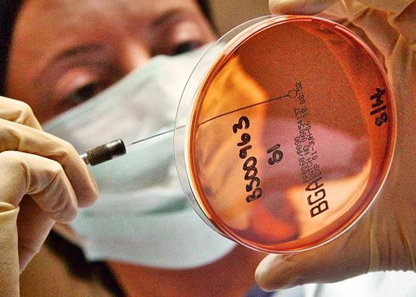 专家指新药“Staphefekt”具比旧有抗生素更佳效能。