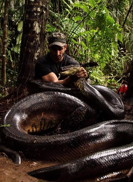 ������������ʱ���������Ʒ��߱����¡�