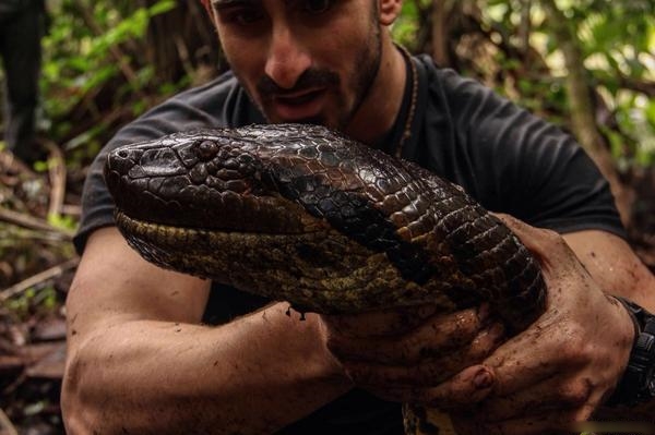 ɭ����ȫ����������ص���֮һ��