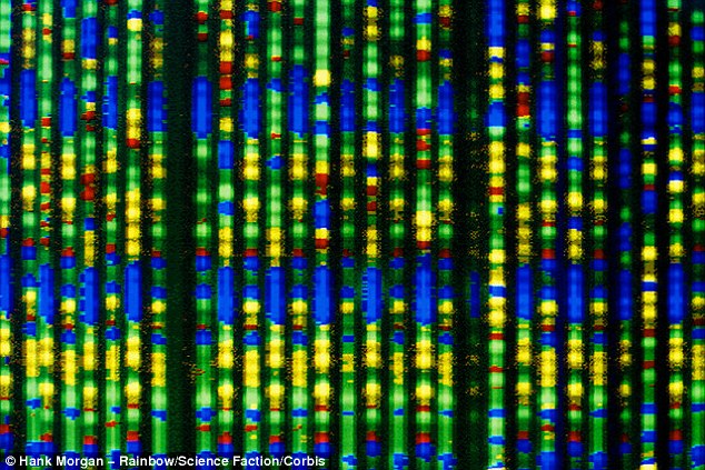 欧亚西部人类和东亚人类世系在大约3.7万年前就已经相互分离