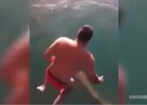 ������(ͼ)����������������