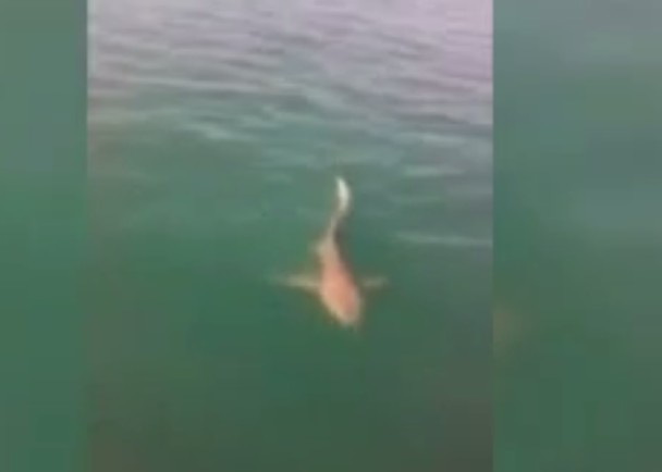 С���������ν������صĴ�