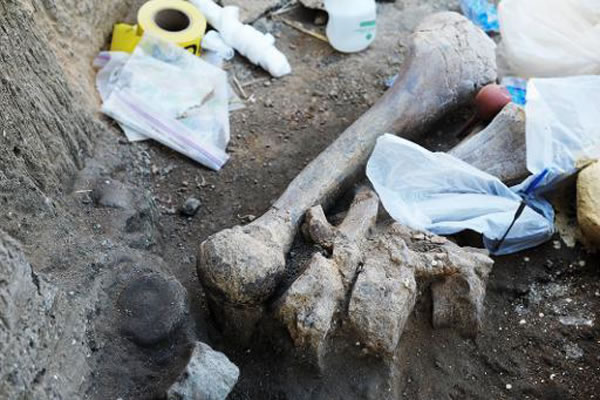 ͢ԼҺԺ侮ⷢһ߾޴ʯ