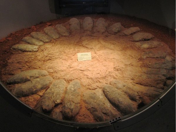 ��������Ϊʲô����ѵ�ѹ��