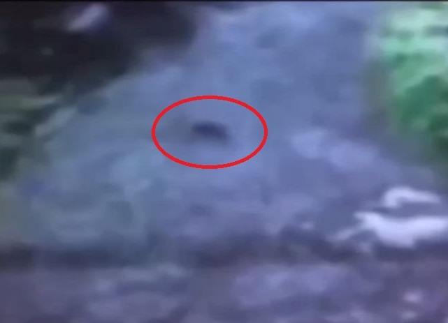 ���ؿ��еĹ���(��Ȧʾ)�Ӻ�׷�ϡ�