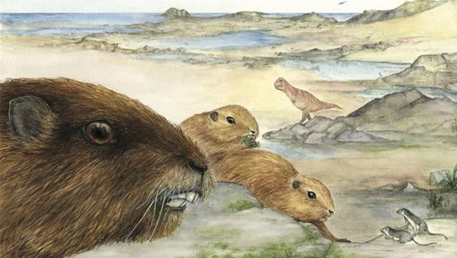 这种古老的哺乳动物与恐龙共同生活于6600万年到7200万年的冈瓦纳大陆上