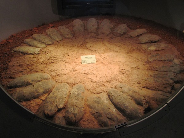 ����ͨ������ذ��ſ������Է�ֹ�䱻ѹ��