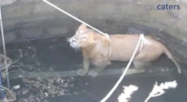 ӡ�ȴ�������������18����ˮ���ı�Σ����ʨ