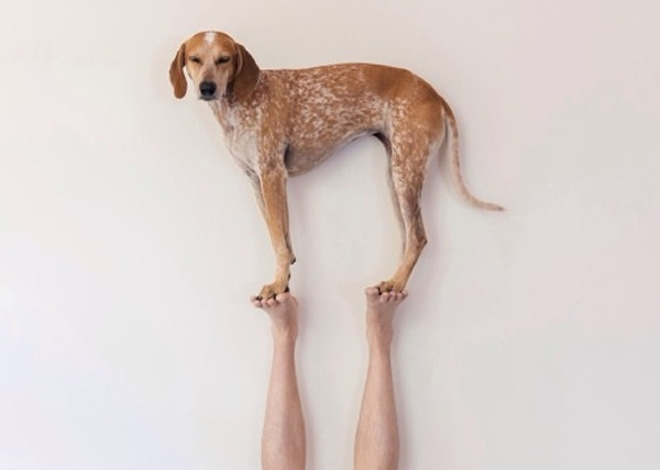 ���Ͽ������ȵ�վ�����˵Ľ��ϡ�