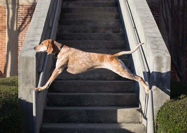 ���ϵĽ�Ƿǳ���������չ�����ܸߡ�