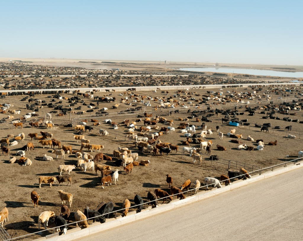 գ׻ᾭ·˺µж5ֻţڴԹι46£ɷҲֲףũΪ˹