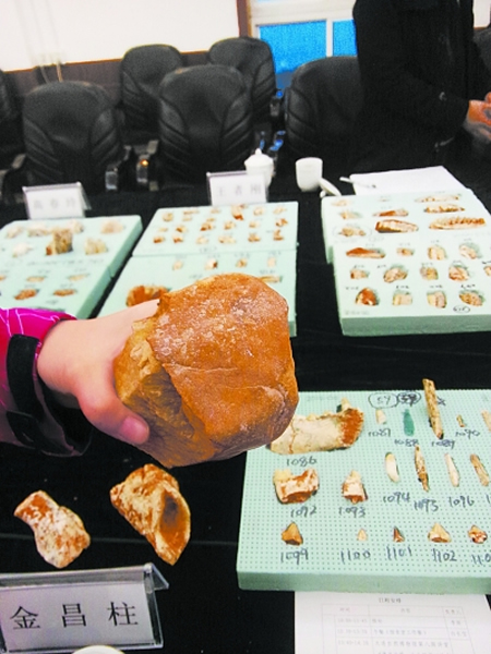 经过人工打磨的石器,为骆驼山有人活动的证据之一。