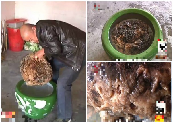 黑龙江绥芬河工人在2米深的冻层挖出神秘“太岁”