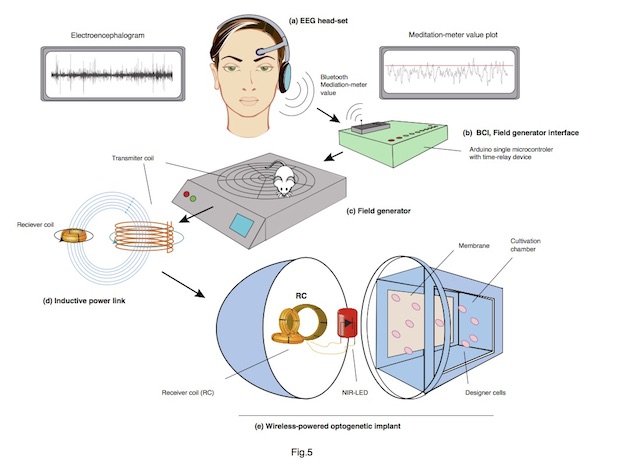 ͼΪѧҶȡԵ粨ͼ⡣