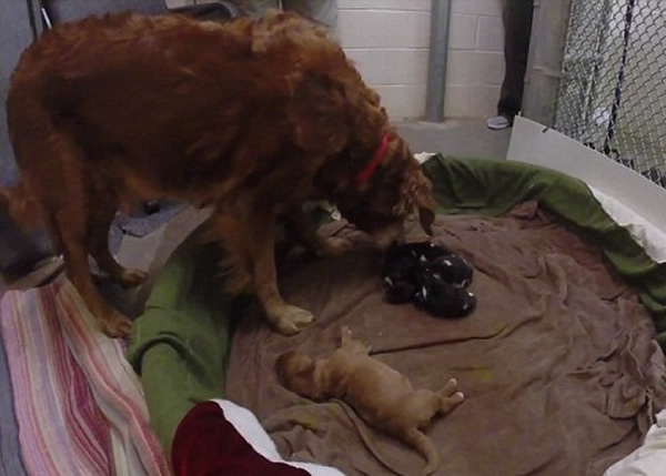 ����Ϊ��������ϴ�衱��