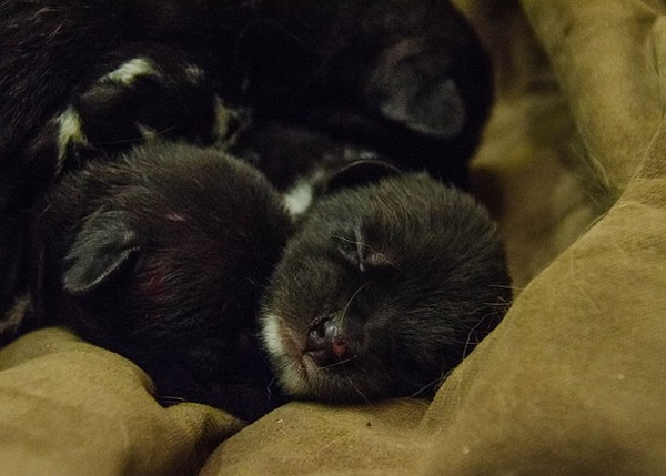 ����Ұ�����������������ʶ���԰�ر�������Щ����������