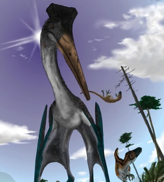 科学家指出,翼龙若体型太巨大会飞不起,图为模拟图片。