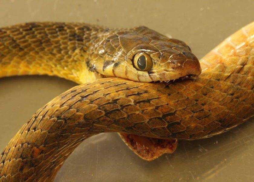 ��������������ɱ ���Լ��Ķ�Һ��������