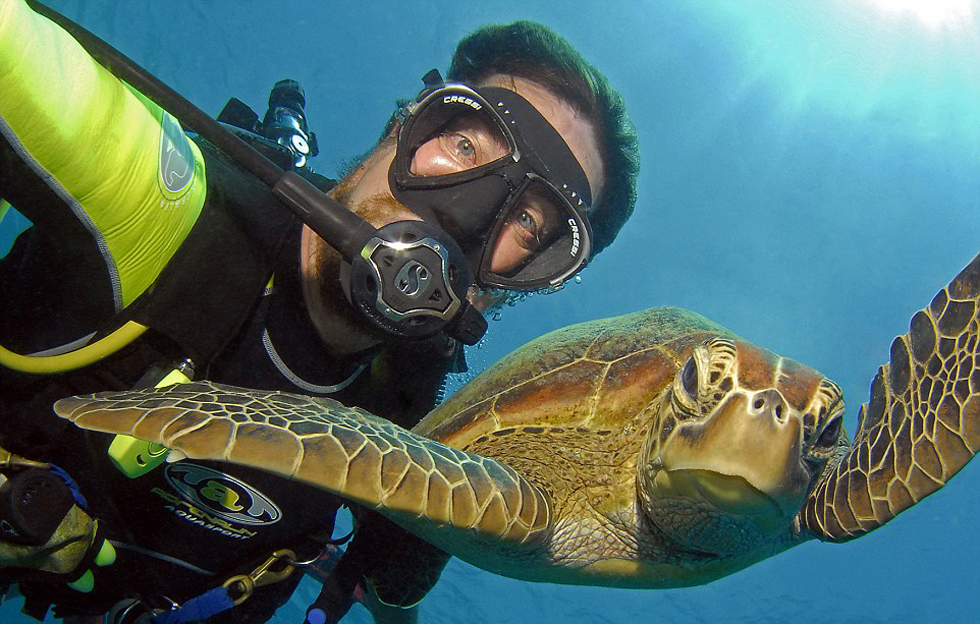 海龟是布伦南偏爱的自拍伙伴,因为他们非常冷静自如,让他可以尽兴的拍照。
