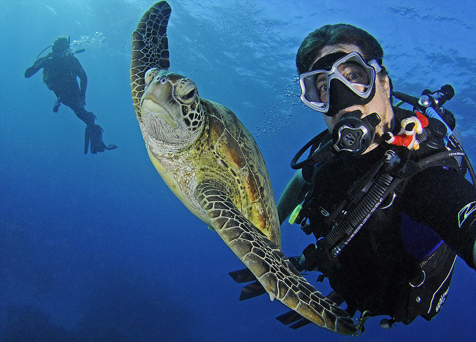 这张照片看起来像电影《海底总动员》中的场景。