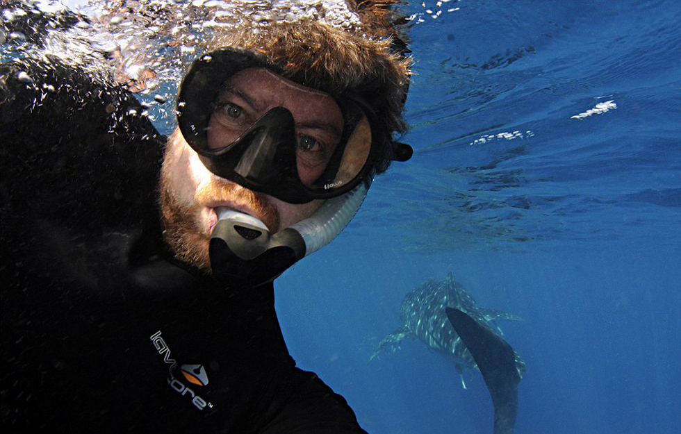 这张照片中,一头鲸鲨在布伦南身后游过。