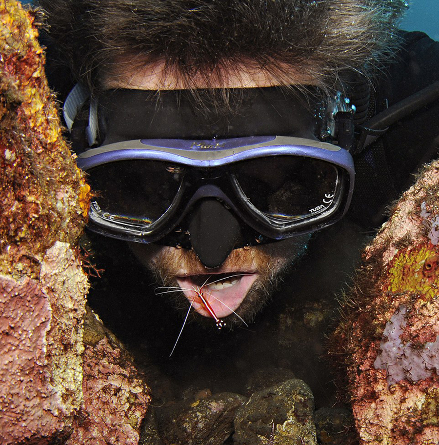 布伦南还有过被海底清洁虾剔牙的奇特经历。