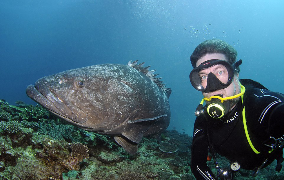 每次潜水遇到有海底动物游过,他都飞速打开照相机和他们拍照。