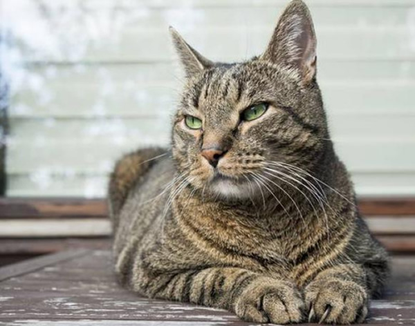 ڼè˵ǻڹͬʱһЩ⽱