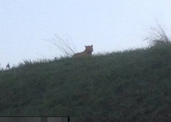 ���������ĵ���Ϊ�ϻ�����Ӱ����֤ʵΪ�龪һ����