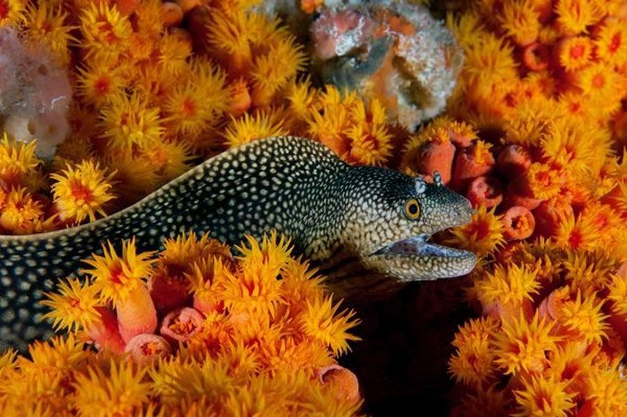 ܣһ󱣻úΪ46000ƽ20㣬аΣĴʹͷ衢ͻ衣ͼʾһ