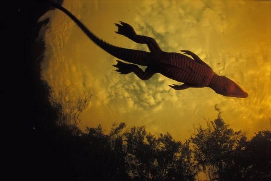 һ״ǱˮУ¬ҹ԰Ϫζ