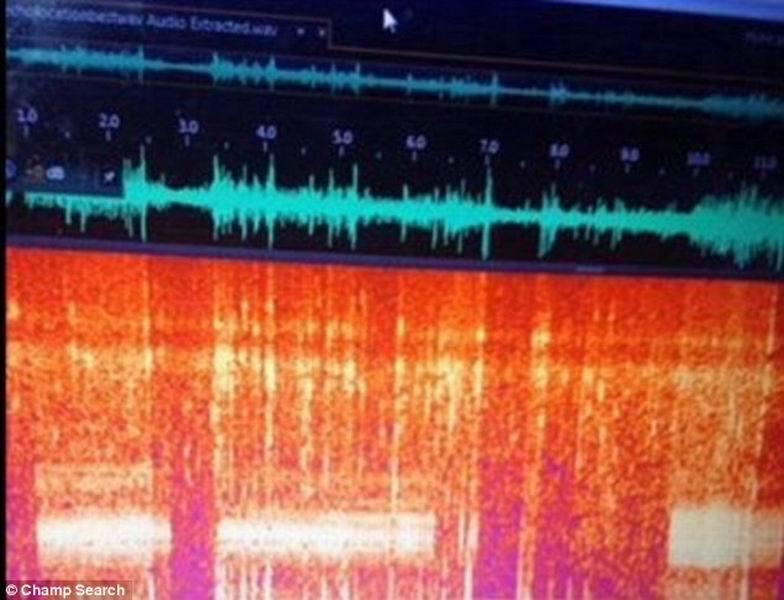 或许尼斯湖水怪在遥远的大西洋有“近亲”,目前,隐生动物学家凯蒂-伊丽莎白和丹尼斯-哈尔在美国佛蒙特州尚普兰湖通过录音探测到“神秘水怪”,他们使用水诊器系统监控回