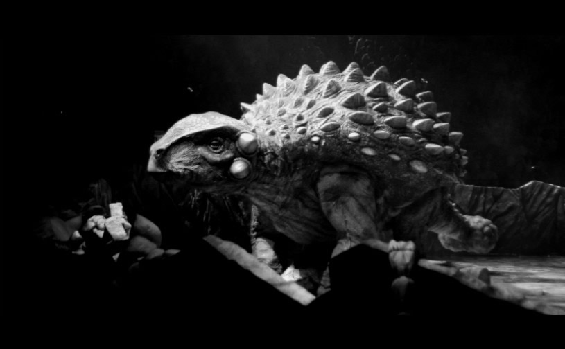 ���о���������ͨ���������������Բ�����