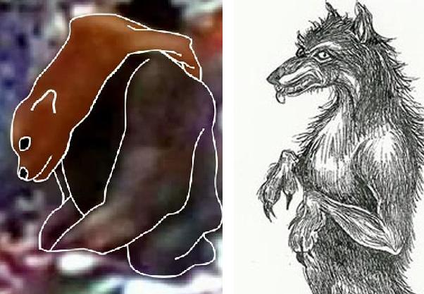 美国密歇根州和得克萨斯州接连有人目击狗头人身怪物