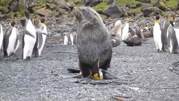 ����������죬���в������Χ�ۡ�