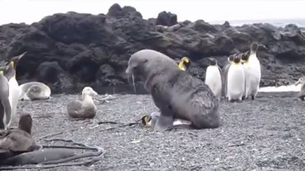 ���������������