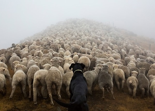 ����Ȯ���԰�æ������