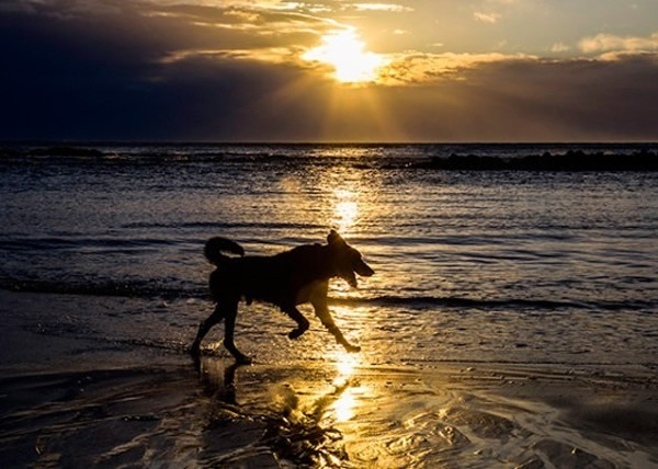 ����Ȯ����ũ�������ճ������������Ϣ��