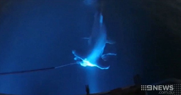 ���ޡ��������֡���ͼ���ϴ�ͷ�������޴�����