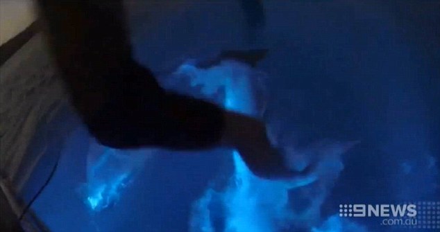 ���ޡ��������֡���ͼ���ϴ�ͷ�������޴�����