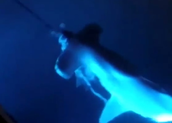 Ī��������ͷ����һ��3�׳��Ĵ�ͷ�迿���洬��