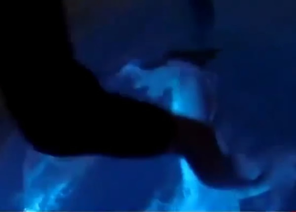 Ī���������������㱳�ϣ����ݡ��������С���