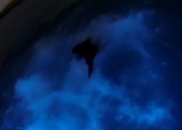 Ī������ɱ��ݺ��λش��ϡ�