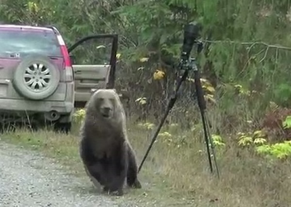 оһ󣬻ܲת뿪زݴԡ